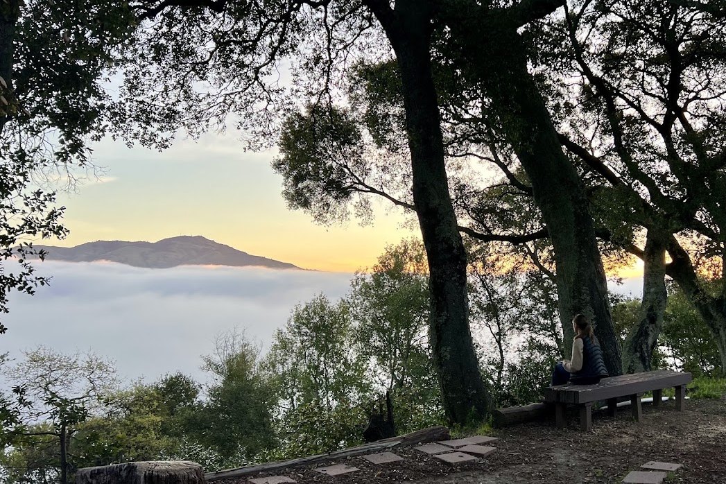 A woman sitting on a bench under oak trees, looking out over a sea of fog toward Mount Diablo at sunrise